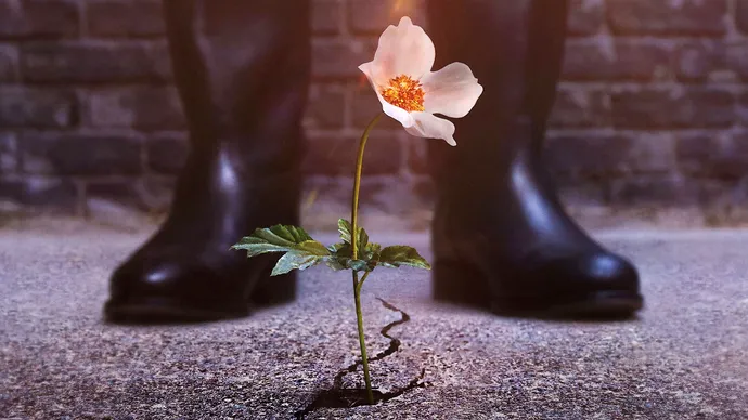 Постер сериала Человек в высоком замке